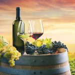 7 Proses Pembuatan Wine dari Anggur yang Baik dan Berkualitas