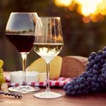 Comparisons Between Red and White Wines