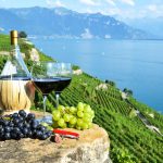 Some Great Wineries and Vineyards in the World
